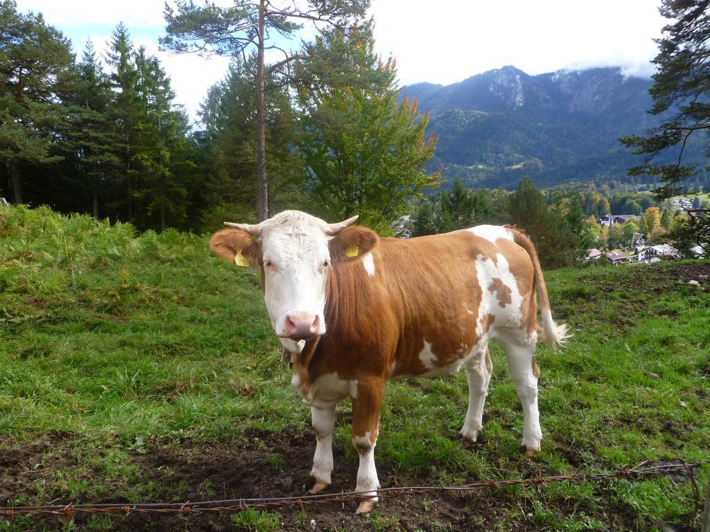 Zum Franziskaner Grainau Exterior foto